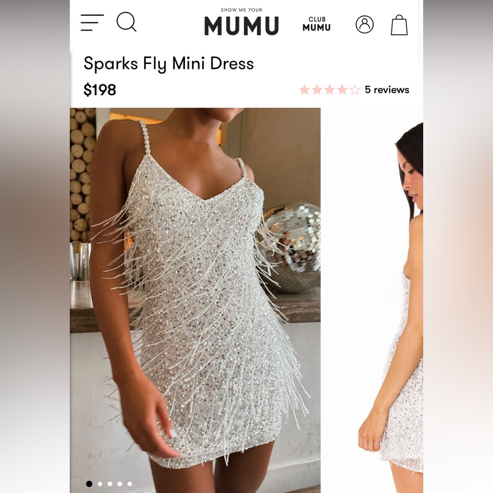 Show Me Your Mumu Silver Beaded Fringe Mini Dress